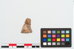 Foto von Beinfibelbügelbesatz (NHMW-PRAE-023971)